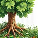 Ilustrație cu frunze verzi, rădăcini și plante, simbolizând extracte botanice și nutrienți naturali
